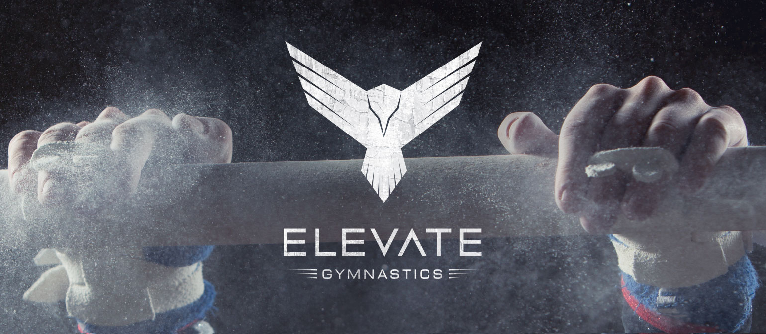 Graphic Design for Elevate